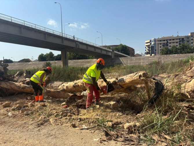 Imagen de la noticia:  Valencia limpia el cauce del Turia para prevenir nuevas inundaciones