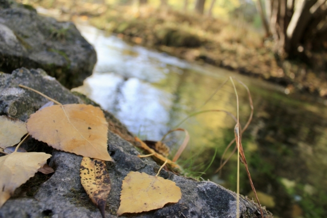 Imagen de la noticia: Llega el otoño con el cambio al horario de invierno