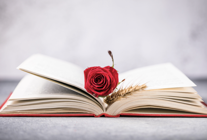 La rosa, el símbolo de la victoria de San Jorge