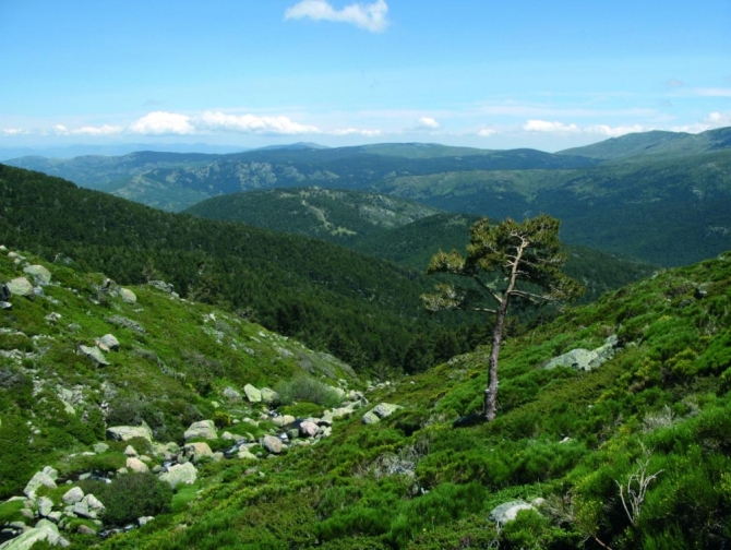 Parque Nacional de la Sierra de Guadarrama // Comunidad de Madrid