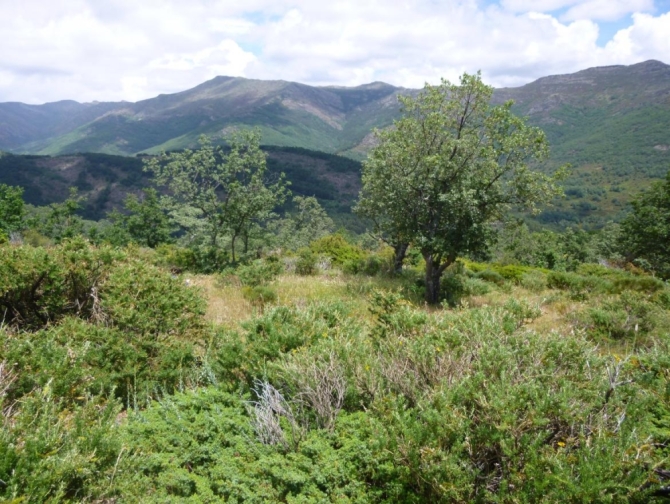 Reserva de la Biosfera Sierra del Rincón // Comunidad de Madrid