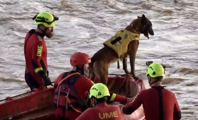 Imagen de la noticia: La UME homenajea a los perros de rescate en el día de su patrón