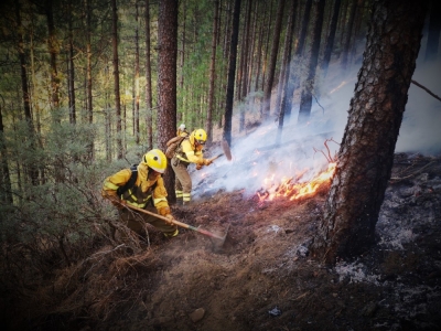Imagen de la noticia: La mirada de las BRIF: los incendios forestales que devoran España, desde dentro