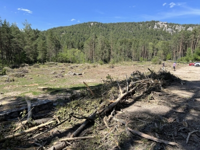 Zona talada junto al aparcamiento del Nacimiento del Río Cuervo, en la Serranía de Cuenca, con restos de árboles cortados y una amplia superficie despejada.